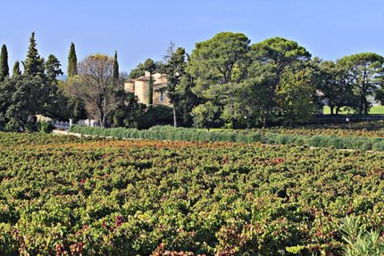 Chateau des Vignes