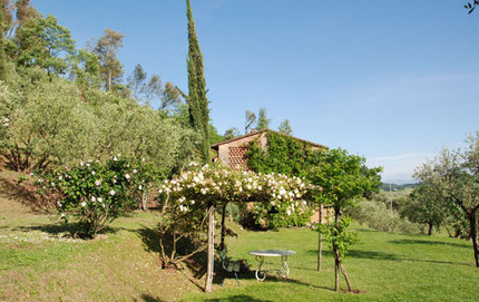 Villa Damiano