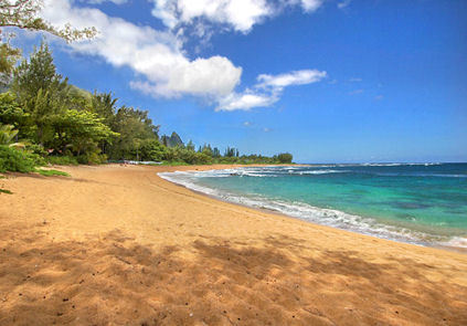 Kauai Beachfront Villa
